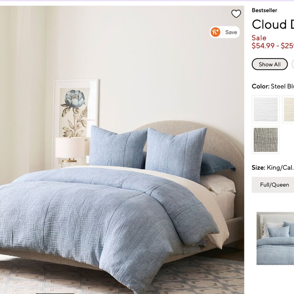 Pottery Barn King Cloud Duvet Cover and Shams